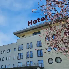 Nowe hotelowe opinie o hotelu z kwitnącą wiśnią w tle.