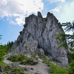 Kamienista ścieżka prowadzi pod górę do skalistego szczytu, który niczym gęsia szyja wznosi się ku niebu.