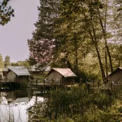 Najlepsze restauracje nad jeziorem w Lubuskim - wyjątkowe miejsca na posiłek