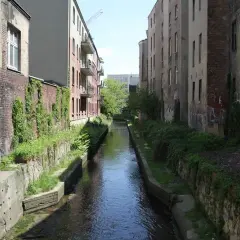 Jaka rzeka przepływa przez Katowice? Odkryj tajemnice Rawy