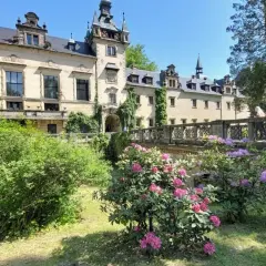 Zamek Kliczków zachwyca architekturą i kwitnącymi rododendronami. Warto sprawdzić opinie przed wizytą.