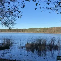 Działki rekreacyjne nad jeziorem Lubuskie – idealne na wakacje i inwestycje