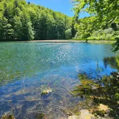 Spokojne jeziora duszatyńskie otoczone bujną zielenią. Słońce odbija się w wodzie, tworząc iskrzące refleksy.