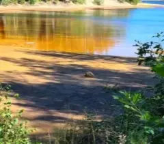 Jezioro Łąkie - tajemnice, piękno i zagrożenia polskich jezior