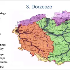 Ile jest rzek w Polsce? Zaskakująca liczba i ich znaczenie
