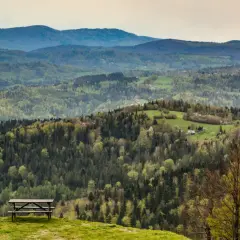 Ławka z widokiem na zalesione wzgórza i doliny, idealne miejsce na odpoczynek w okolicy schroniska Sosenów.