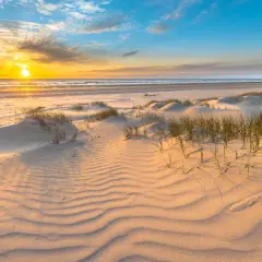 Piaskowe wydmy i trawy na plaży w Gdańsku o zachodzie słońca. Piękne morze i niebo.