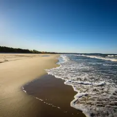 Słoneczny dzień nad polskim morzem. Piaszczysta plaża, szum fal i błękitne niebo tworzą idealny krajobraz.