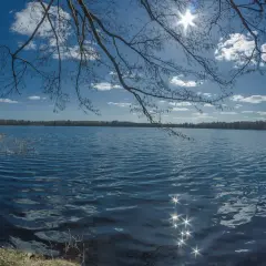 Jezioro Czarne Sosnowickie: piękno natury i rekreacja w ciszy