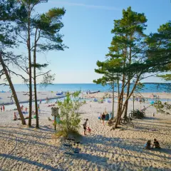 Słoneczna dębki plaża z piaszczystym brzegiem, drzewami sosnowymi i ludźmi odpoczywającymi nad morzem.