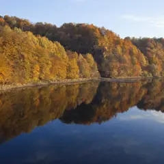 Jesienne barwy lasów odbijają się w spokojnej tafli wody, tworząc malowniczy krajobraz Wielkiej Pętli Bieszczadzkiej.