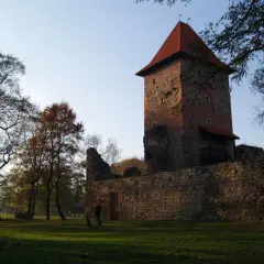 Wieża zamku w Chudowie z czerwonym dachem, otoczona kamiennym murem. Na trawniku spaceruje osoba z psem.