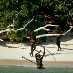 Trzech mężczyzn z plemienia Sentinelese, uzbrojonych w łuki i strzały, stoi na plaży Sentinel Island.