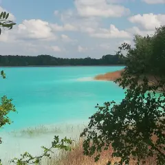 Turkusowe jezioro w Koninie, otoczone lasem i trzcinami, z gałęziami drzew na pierwszym planie.