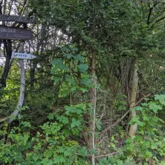 Drewniany drogowskaz w lesie wskazuje drogę do schroniska, bacówki i krzyża. To miejsce, gdzie można odpocząć po wędrówce.