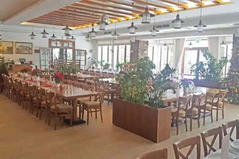 Gdzie zjeść w Serocku? Najlepsze restauracje i smaki, które musisz spróbować