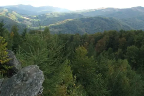 Widok z dwernik kamień na zalesione wzgórza.