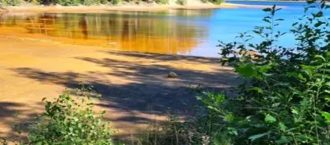 Jezioro Łąkie - tajemnice, piękno i zagrożenia polskich jezior