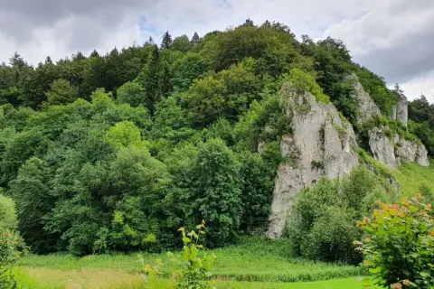 Malowniczy krajobraz z wapiennymi skałami, przypominającymi Maczugę Herkulesa, otoczony bujną zielenią. Trasa turystyczna wije się wśród drzew.