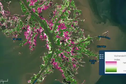 Mapa delty rzeki Missisipi z zaznaczonymi obszarami o różnym wskaźniku wrażliwości. Różowe plamy wskazują wyższą wrażliwość.