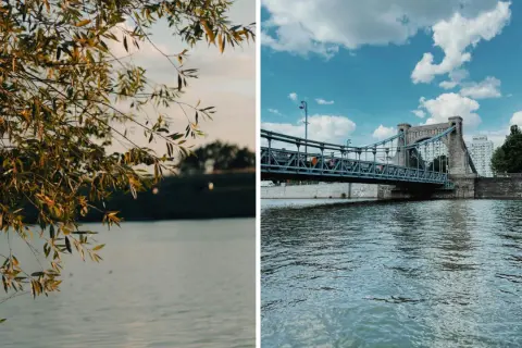 Gałęzie drzew nad spokojną wodą i most Grunwaldzki nad Odrą, rzeką płynącą przez Wrocław.