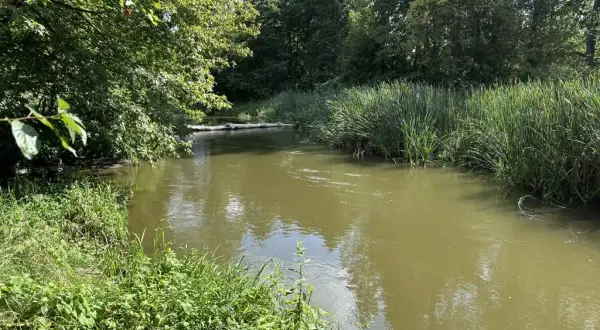 Nad jaką rzeką leży Lublin? Odkryj tajemnice Bystrzycy