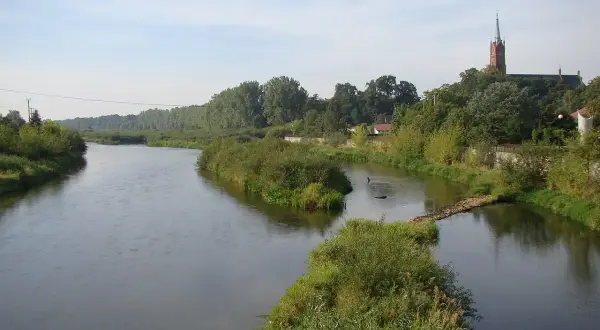 Szeroka rzeka, najdłuższy lewy dopływ Wisły, płynie wśród zielonych brzegów. W oddali widać kościół.