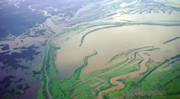 Rozległa delta rzeki, najdłuższa rzeka Azji, z licznymi odnogami i zielonymi wyspami porośniętymi roślinnością.