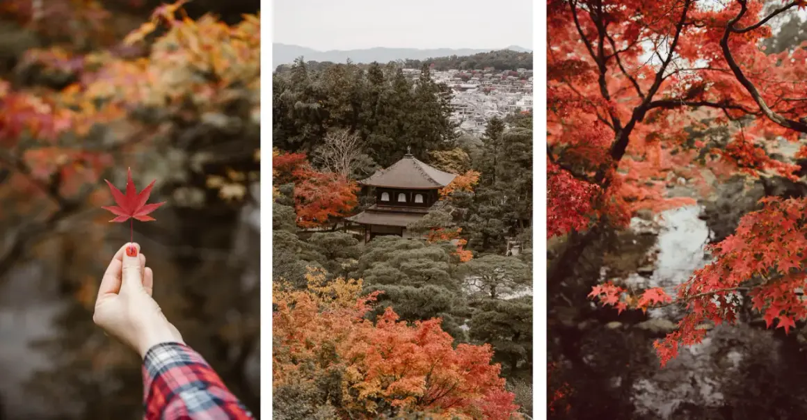 Jesień w Japonii: czerwone liście klonu, tradycyjna świątynia i malowniczy strumień. Odkryj najlepsze miejsca na jesienne liście w Japonii.
