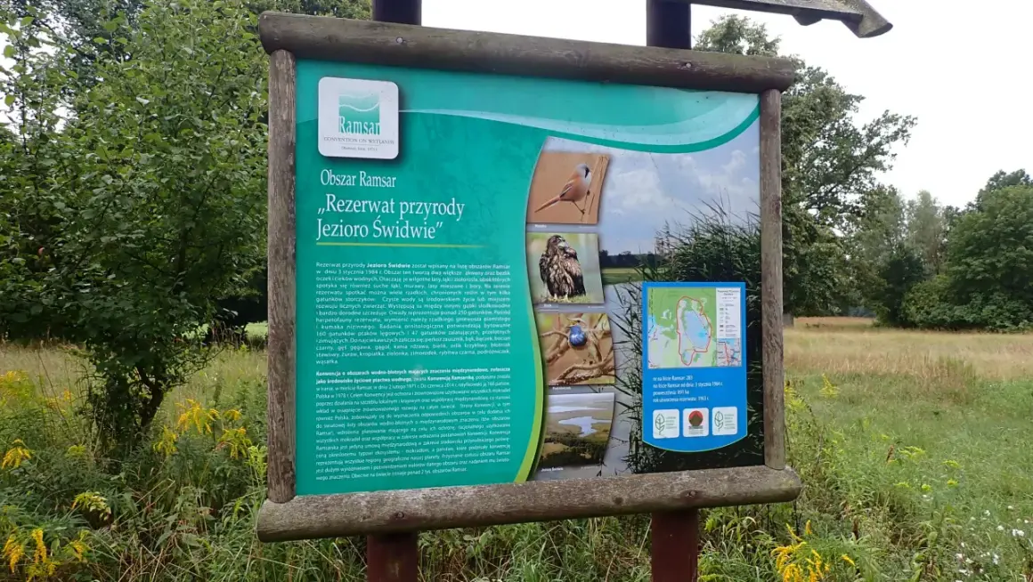 Jezioro Świdwie: Odkryj unikalne bogactwo przyrody i atrakcje