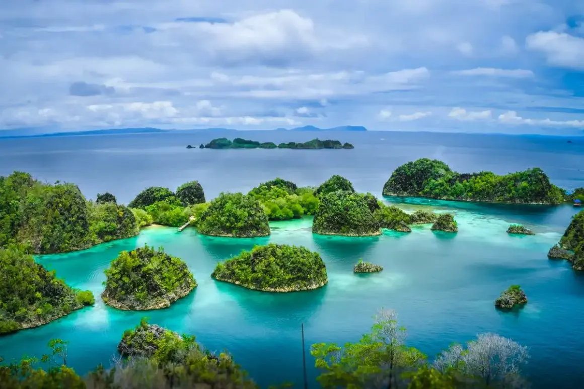 Rajskie krajobrazy Raja Ampat: bujne, zielone wyspy wyrastające z turkusowych wód, tworzące labirynt zatoczek i lagun.