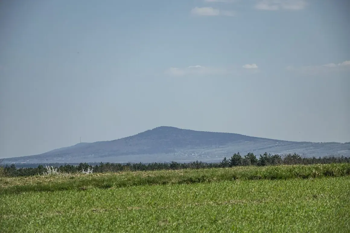 Łysa Góra, najwyższy szczyt Gór Świętokrzyskich, majaczy na horyzoncie. Przed nią zielone pola i las.