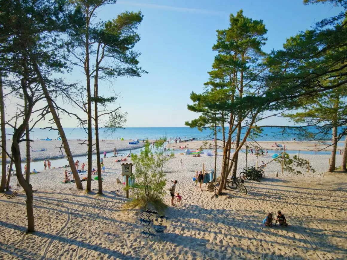 Słoneczna dębki plaża z piaszczystym brzegiem, drzewami sosnowymi i ludźmi odpoczywającymi nad morzem.