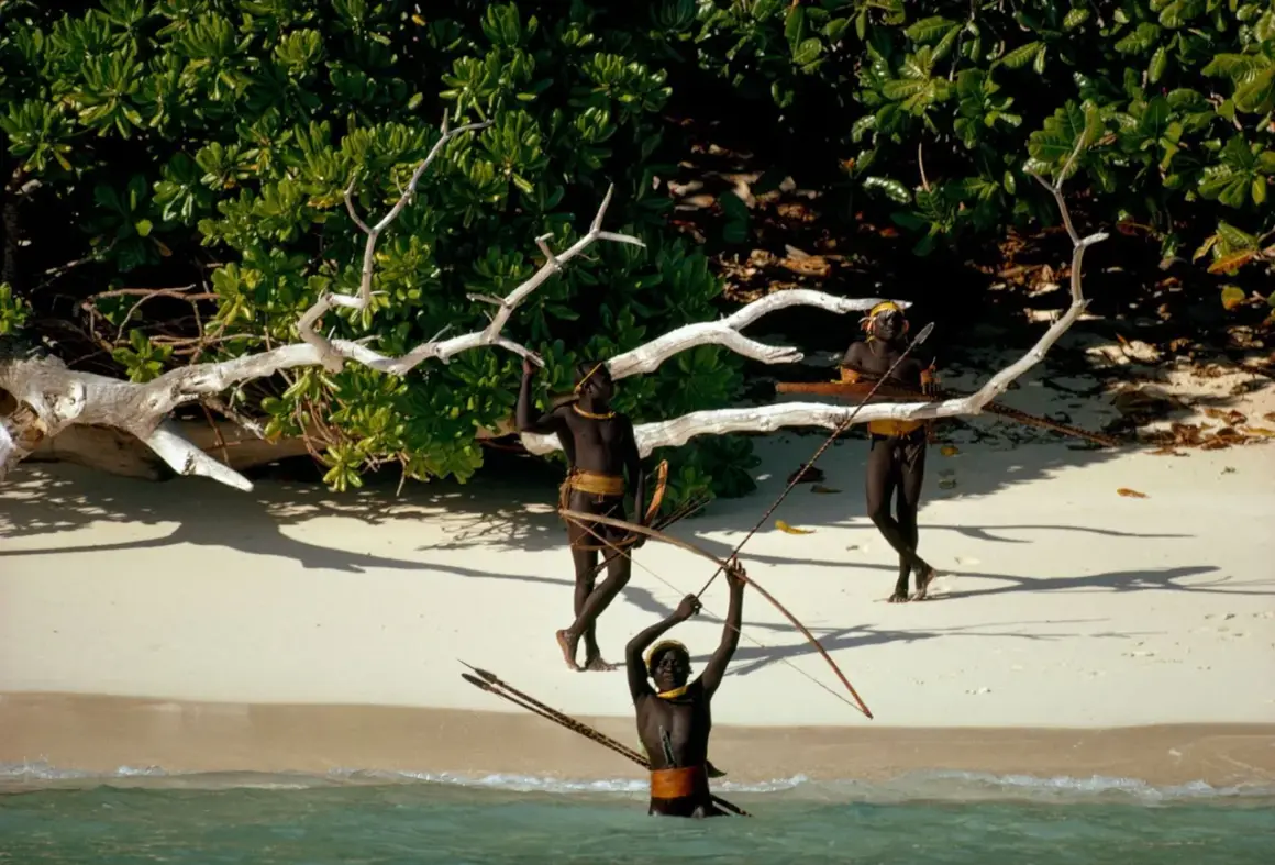 Trzech mężczyzn z plemienia Sentinelese, uzbrojonych w łuki i strzały, stoi na plaży Sentinel Island.