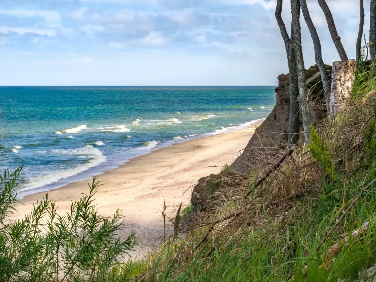 Piękne polskie morze z piaszczystą plażą, klifem i drzewami. Fale delikatnie rozbijają się o brzeg.