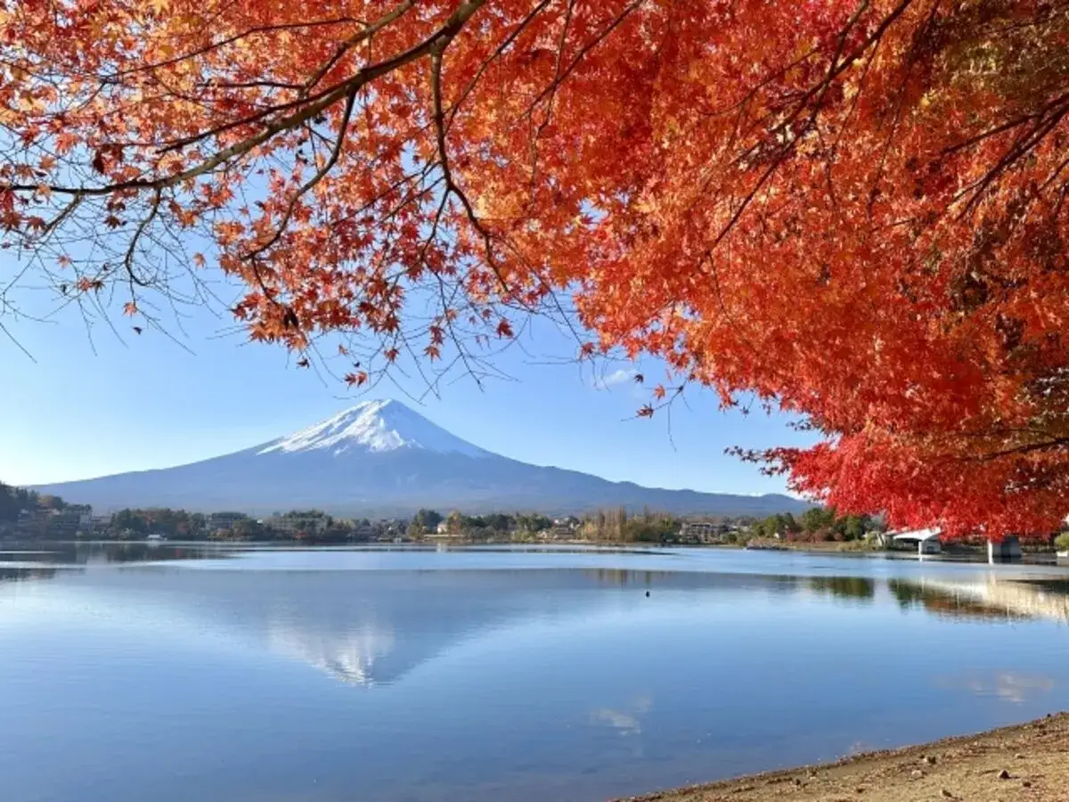 Japonia jesienią: Jezioro z odbiciem góry Fudżi, otoczone ognistymi liśćmi klonu. Idealne miejsce, by zobaczyć jesienne barwy Japonii.