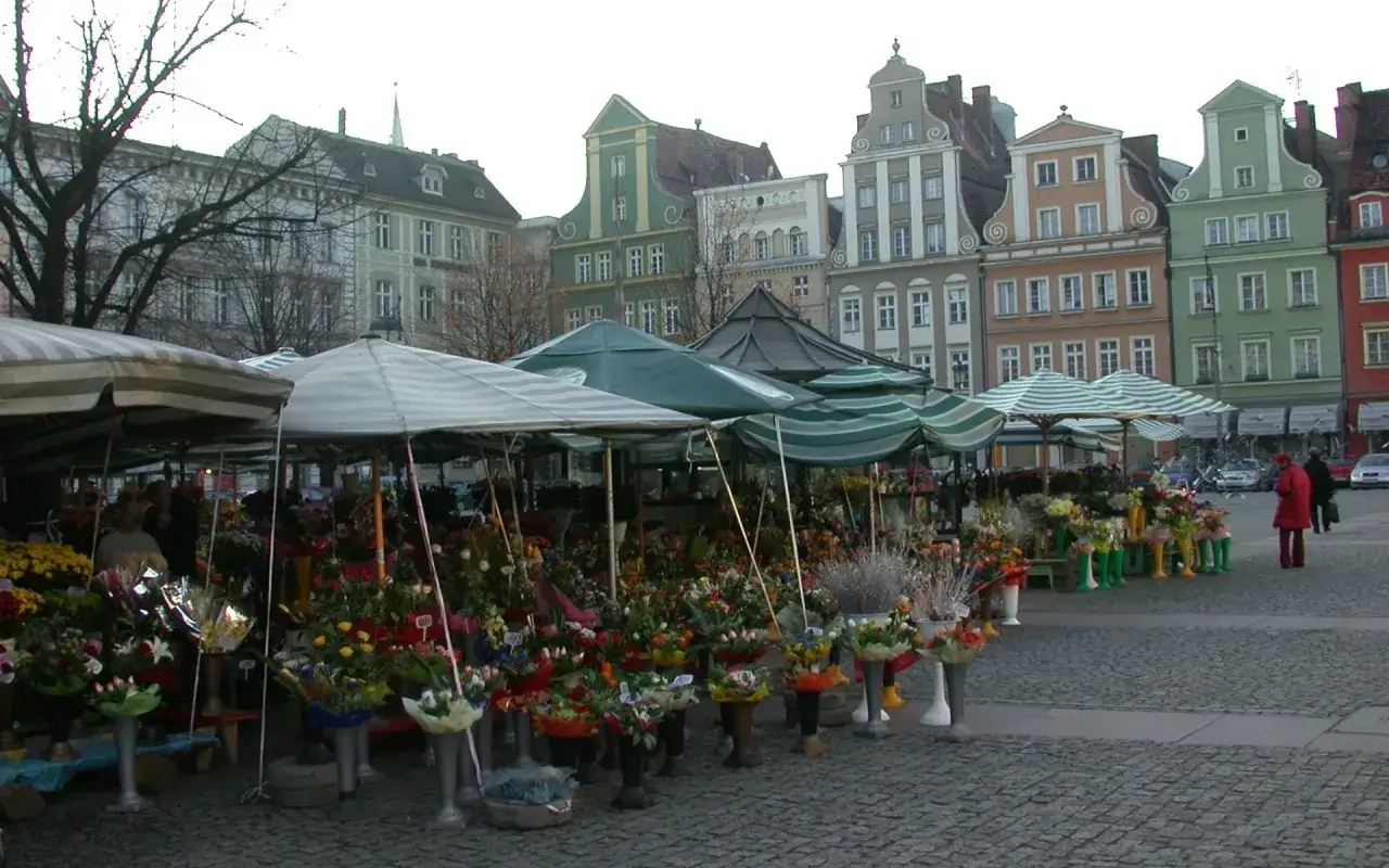 Kwiaty na straganach na placu solnym we Wrocławiu. Kolorowe budynki w tle.