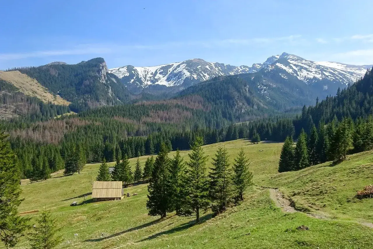 Piękny widok na Tatry, gdzie w góry zaprasza zielona hala z drewnianym szałasem i szczyty pokryte śniegiem.