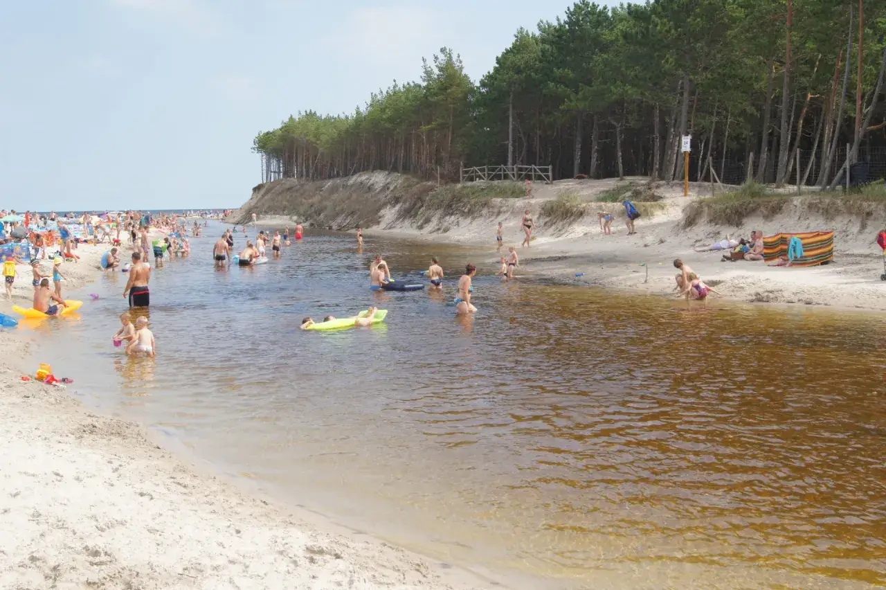 Tłum ludzi odpoczywa nad wodą. Dzieci bawią się na piasku, dorośli kąpią się w rzece. Dębki plaża tętni życiem.