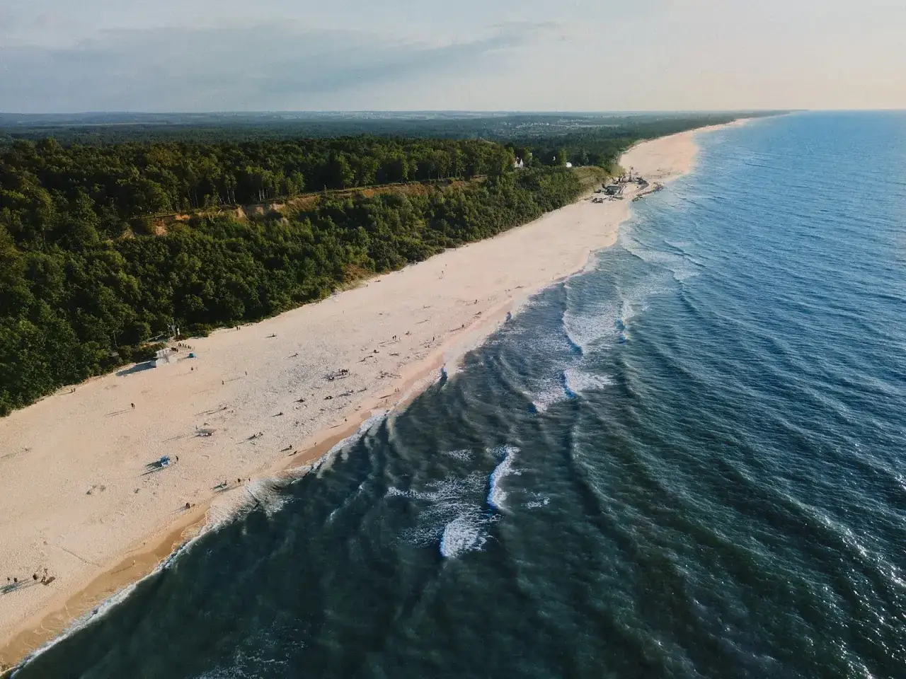 Piękna plaża i las nad morzem. Wiosna na Jastrzębiej Górze zachwyca, warto sprawdzić opinie przed wyjazdem.