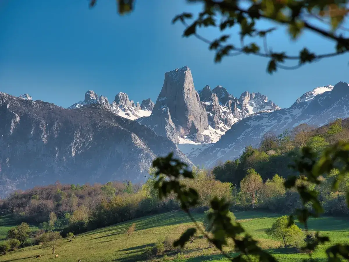 Majestatyczne szczyty Picos de Europa w Hiszpanii, ośnieżone i skaliste, górują nad zielonymi dolinami i lasami.