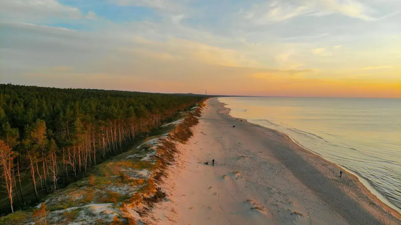 Piękna plaża z lasem sosnowym w tle, idealne miejsce wśród najlepszych miejsc do oglądania zachodu słońca.