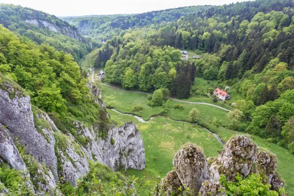 Malownicza dolina Prądnika z krętą rzeką, skalnymi ostańcami i zielonymi lasami. W oddali widać domki.
