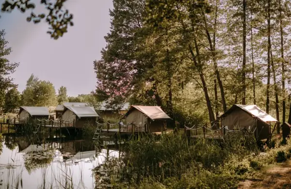 Najlepsze restauracje nad jeziorem w Lubuskim - wyjątkowe miejsca na posiłek