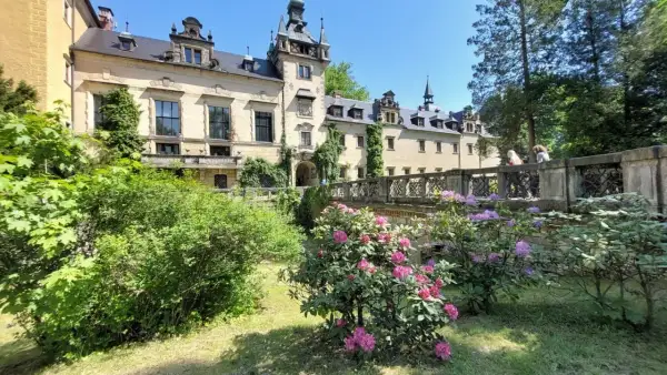Zamek Kliczków zachwyca architekturą i kwitnącymi rododendronami. Warto sprawdzić opinie przed wizytą.