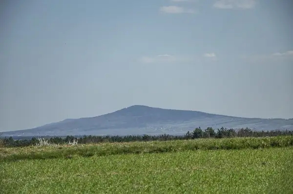 Łysa Góra, najwyższy szczyt Gór Świętokrzyskich, majaczy na horyzoncie. Przed nią zielone pola i las.