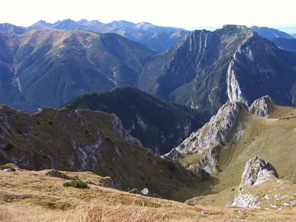 Majestatyczny szczyt w Tatrach Zachodnich, zalesione zbocza i skaliste grzbiety tworzą zapierający dech w piersiach krajobraz.