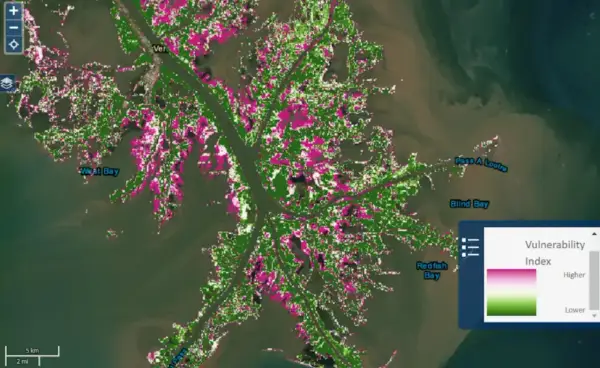 Mapa delty rzeki Missisipi z zaznaczonymi obszarami o różnym wskaźniku wrażliwości. Różowe plamy wskazują wyższą wrażliwość.