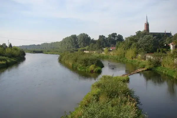 Szeroka rzeka, najdłuższy lewy dopływ Wisły, płynie wśród zielonych brzegów. W oddali widać kościół.