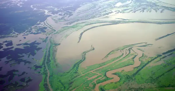Rozległa delta rzeki, najdłuższa rzeka Azji, z licznymi odnogami i zielonymi wyspami porośniętymi roślinnością.